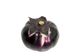 Aubergine Ronde