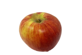 Pomme Reine Reinette