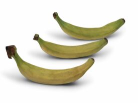 Banane plantain