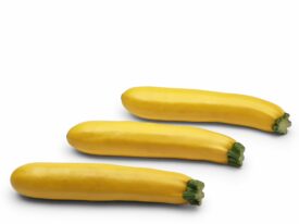 Courgette Jaune