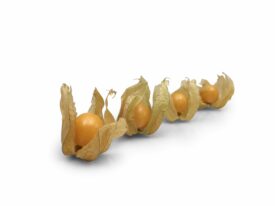 Alkékenge (Physalis)