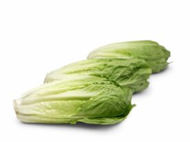 Romaine